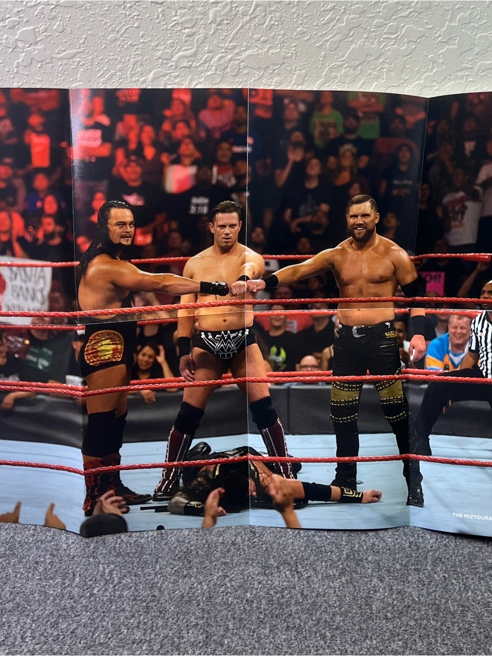 WWE Loot Crate The Miztourage Poster 24” x 18”
